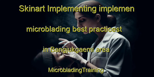 Skinart Implementing implemen microblading best practicest in Bangjukgaemi area | #MicrobladingTraining #MicrobladingClasses #SkinartTraining-Korea