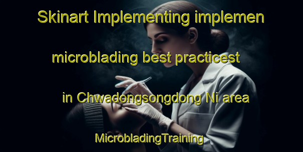 Skinart Implementing implemen microblading best practicest in Chwadongsongdong Ni area | #MicrobladingTraining #MicrobladingClasses #SkinartTraining-Korea