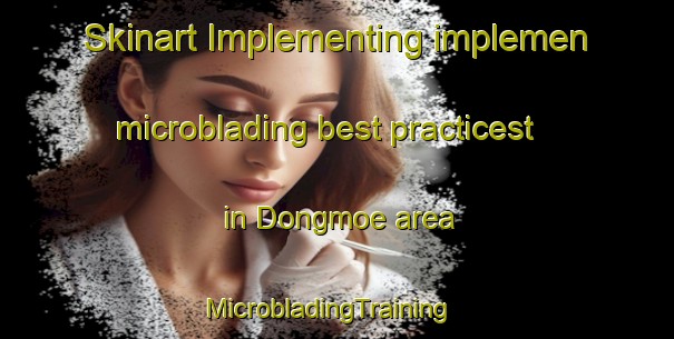 Skinart Implementing implemen microblading best practicest in Dongmoe area | MicrobladingTraining | MicrobladingClasses | SkinartTraining-Korea