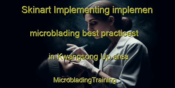 Skinart Implementing implemen microblading best practicest in Kwangsong Up area | MicrobladingTraining | MicrobladingClasses | SkinartTraining-Korea