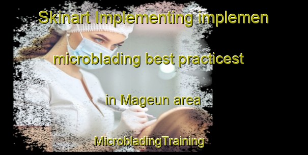 Skinart Implementing implemen microblading best practicest in Mageun area | MicrobladingTraining | MicrobladingClasses | SkinartTraining-Korea