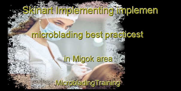 Skinart Implementing implemen microblading best practicest in Migok area | MicrobladingTraining | MicrobladingClasses | SkinartTraining-Korea
