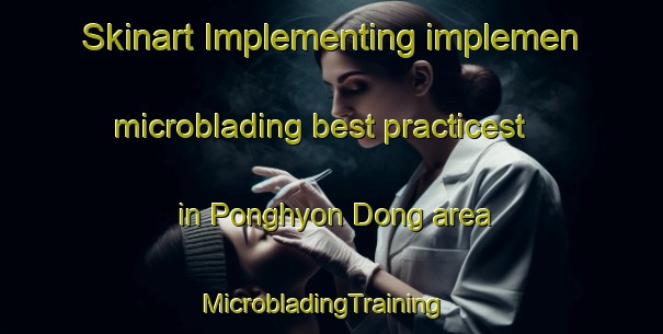 Skinart Implementing implemen microblading best practicest in Ponghyon Dong area | MicrobladingTraining | MicrobladingClasses | SkinartTraining-Korea
