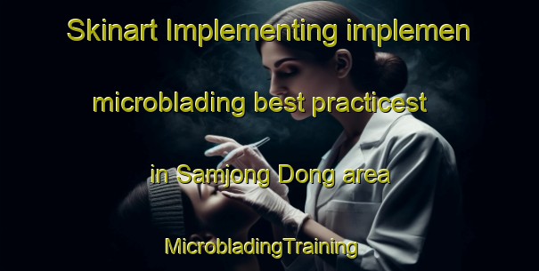 Skinart Implementing implemen microblading best practicest in Samjong Dong area | MicrobladingTraining | MicrobladingClasses | SkinartTraining-Korea