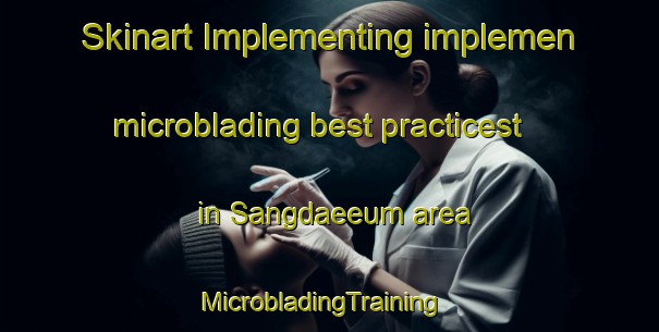 Skinart Implementing implemen microblading best practicest in Sangdaeeum area | MicrobladingTraining | MicrobladingClasses | SkinartTraining-Korea