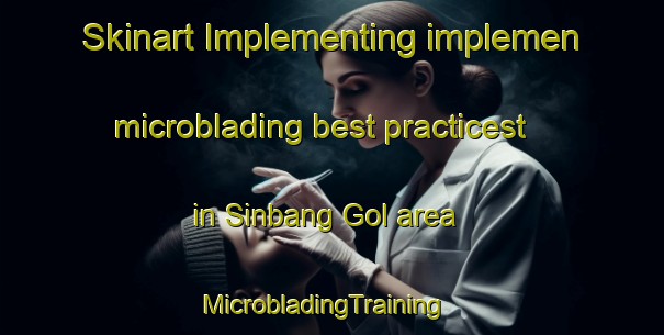 Skinart Implementing implemen microblading best practicest in Sinbang Gol area | MicrobladingTraining | MicrobladingClasses | SkinartTraining-Korea