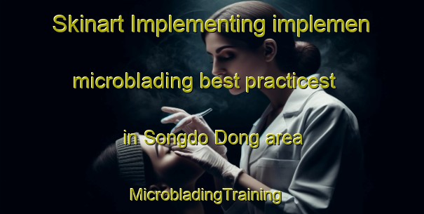 Skinart Implementing implemen microblading best practicest in Songdo Dong area | MicrobladingTraining | MicrobladingClasses | SkinartTraining-Korea