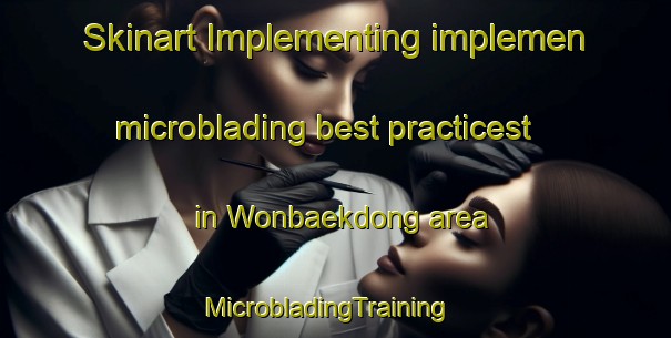Skinart Implementing implemen microblading best practicest in Wonbaekdong area | MicrobladingTraining | MicrobladingClasses | SkinartTraining-Korea