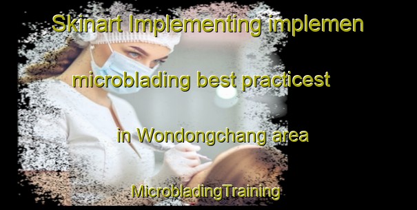 Skinart Implementing implemen microblading best practicest in Wondongchang area | #MicrobladingTraining #MicrobladingClasses #SkinartTraining-Korea