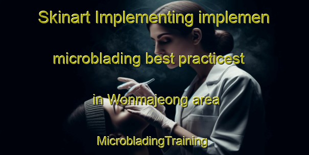 Skinart Implementing implemen microblading best practicest in Wonmajeong area | #MicrobladingTraining #MicrobladingClasses #SkinartTraining-Korea