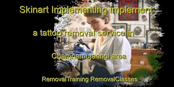 Skinart Implementing implement a tattoo removal service in Chamnamujaengi area | #RemovalTraining #RemovalClasses #SkinartTraining-Korea