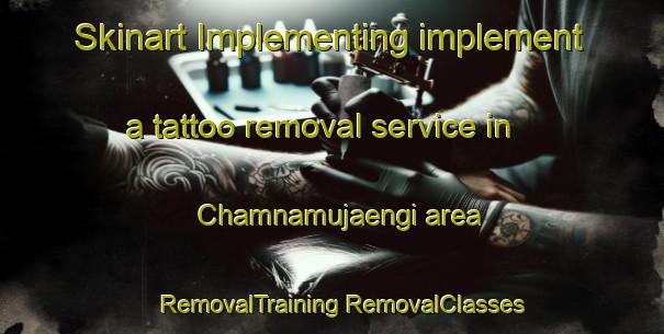 Skinart Implementing implement a tattoo removal service in Chamnamujaengi area | #RemovalTraining #RemovalClasses #SkinartTraining-Korea