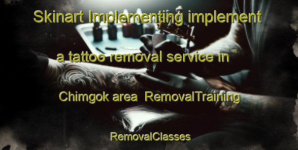 Skinart Implementing implement a tattoo removal service in Chimgok area | RemovalTraining | RemovalClasses | SkinartTraining-Korea