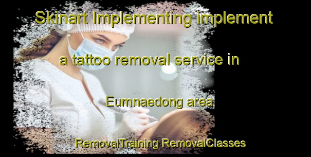 Skinart Implementing implement a tattoo removal service in Eumnaedong area | #RemovalTraining #RemovalClasses #SkinartTraining-Korea