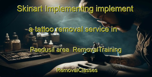 Skinart Implementing implement a tattoo removal service in Paedusil area | RemovalTraining | RemovalClasses | SkinartTraining-Korea