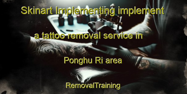 Skinart Implementing implement a tattoo removal service in Ponghu Ri area | RemovalTraining | RemovalClasses | SkinartTraining-Korea