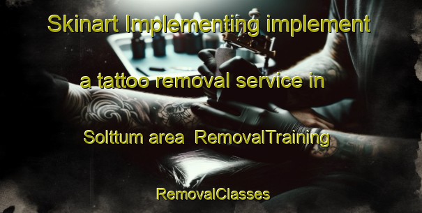 Skinart Implementing implement a tattoo removal service in Solttum area | RemovalTraining | RemovalClasses | SkinartTraining-Korea