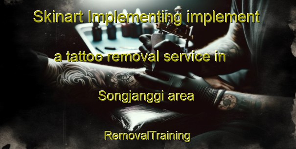 Skinart Implementing implement a tattoo removal service in Songjanggi area | RemovalTraining | RemovalClasses | SkinartTraining-Korea