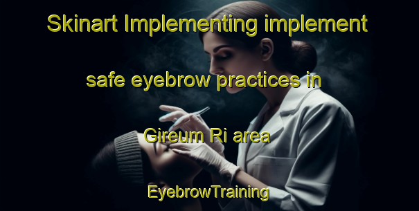 Skinart Implementing implement safe eyebrow practices in Gireum Ri area | EyebrowTraining | EyebrowClasses | SkinartTraining-Korea