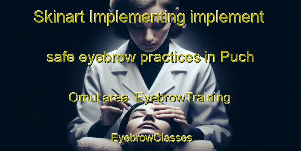 Skinart Implementing implement safe eyebrow practices in Puch Omul area | EyebrowTraining | EyebrowClasses | SkinartTraining-Korea