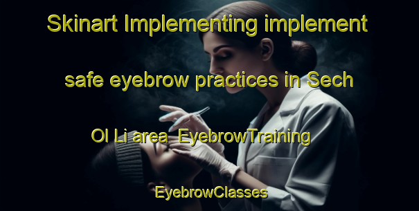 Skinart Implementing implement safe eyebrow practices in Sech Ol Li area | EyebrowTraining | EyebrowClasses | SkinartTraining-Korea