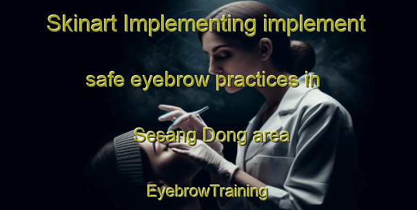 Skinart Implementing implement safe eyebrow practices in Sesang Dong area | EyebrowTraining | EyebrowClasses | SkinartTraining-Korea