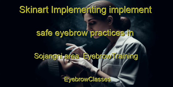 Skinart Implementing implement safe eyebrow practices in Sojangni area | EyebrowTraining | EyebrowClasses | SkinartTraining-Korea