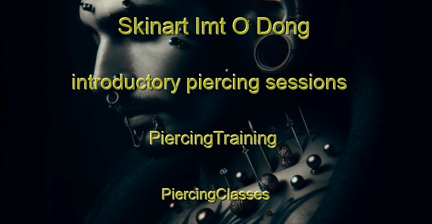 Skinart Imt O Dong introductory piercing sessions | #PiercingTraining #PiercingClasses #SkinartTraining-Korea