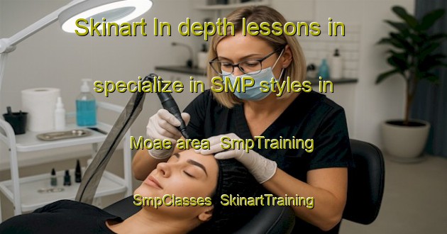 Skinart In-depth lessons in specialize in SMP styles in Moae area | SmpTraining | SmpClasses | SkinartTraining-Korea