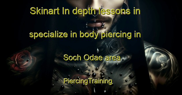 Skinart In-depth lessons in specialize in body piercing in Soch Odae area | PiercingTraining | PiercingClasses | SkinartTraining-Korea