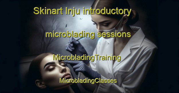 Skinart Inju introductory microblading sessions | MicrobladingTraining | MicrobladingClasses | SkinartTraining-Korea