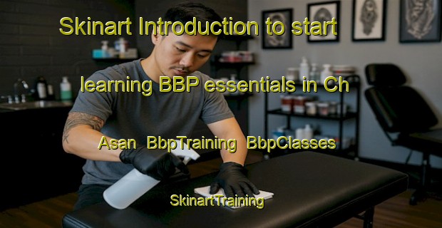 Skinart Introduction to start learning BBP essentials in Ch Asan | BbpTraining | BbpClasses | SkinartTraining-Korea