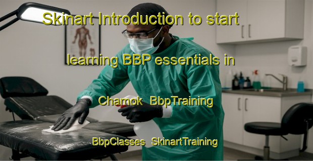 Skinart Introduction to start learning BBP essentials in Chamok | BbpTraining | BbpClasses | SkinartTraining-Korea
