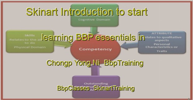 Skinart Introduction to start learning BBP essentials in Chongp Yong Ni | BbpTraining | BbpClasses | SkinartTraining-Korea