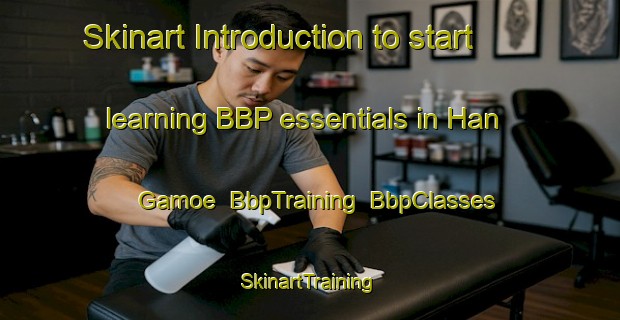 Skinart Introduction to start learning BBP essentials in Han Gamoe | BbpTraining | BbpClasses | SkinartTraining-Korea