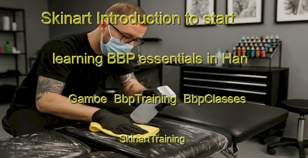 Skinart Introduction to start learning BBP essentials in Han Gamoe | BbpTraining | BbpClasses | SkinartTraining-Korea
