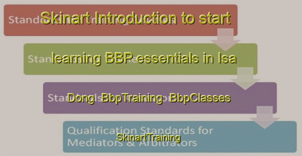 Skinart Introduction to start learning BBP essentials in Isa Dong | BbpTraining | BbpClasses | SkinartTraining-Korea