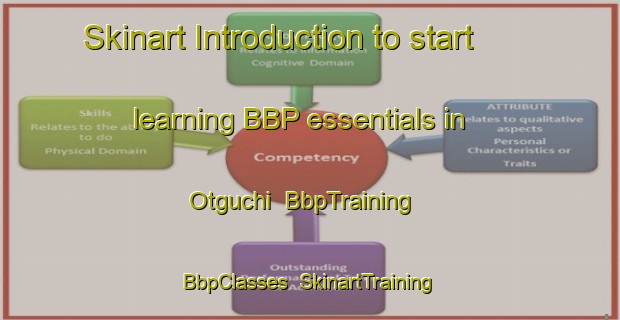 Skinart Introduction to start learning BBP essentials in Otguchi | BbpTraining | BbpClasses | SkinartTraining-Korea
