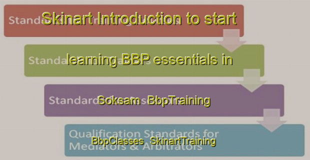 Skinart Introduction to start learning BBP essentials in Soksam | BbpTraining | BbpClasses | SkinartTraining-Korea
