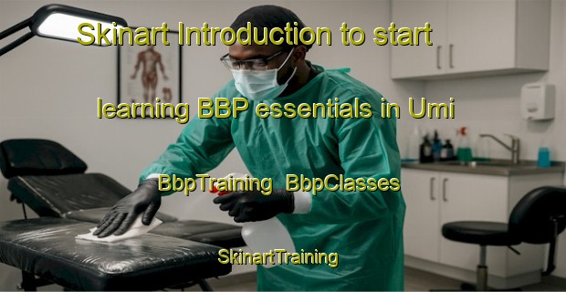 Skinart Introduction to start learning BBP essentials in Umi | BbpTraining | BbpClasses | SkinartTraining-Korea
