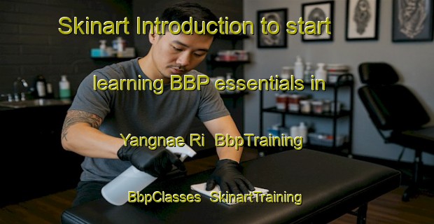Skinart Introduction to start learning BBP essentials in Yangnae Ri | BbpTraining | BbpClasses | SkinartTraining-Korea