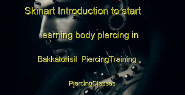 Skinart Introduction to start learning body piercing in Bakkatorisil | #PiercingTraining #PiercingClasses #SkinartTraining-Korea