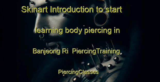 Skinart Introduction to start learning body piercing in Banjeong Ri | PiercingTraining | PiercingClasses | SkinartTraining-Korea