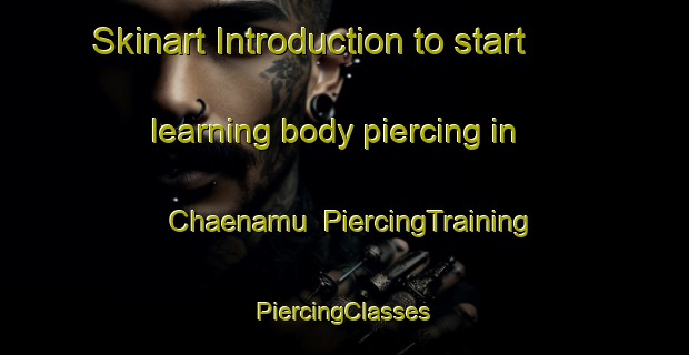 Skinart Introduction to start learning body piercing in Chaenamu | #PiercingTraining #PiercingClasses #SkinartTraining-Korea