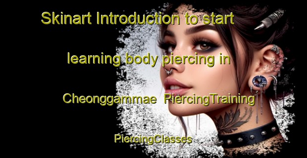 Skinart Introduction to start learning body piercing in Cheonggammae | #PiercingTraining #PiercingClasses #SkinartTraining-Korea