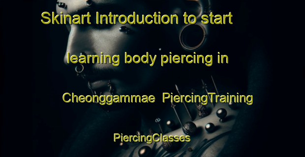 Skinart Introduction to start learning body piercing in Cheonggammae | #PiercingTraining #PiercingClasses #SkinartTraining-Korea