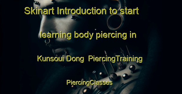 Skinart Introduction to start learning body piercing in Kunsoui Dong | PiercingTraining | PiercingClasses | SkinartTraining-Korea