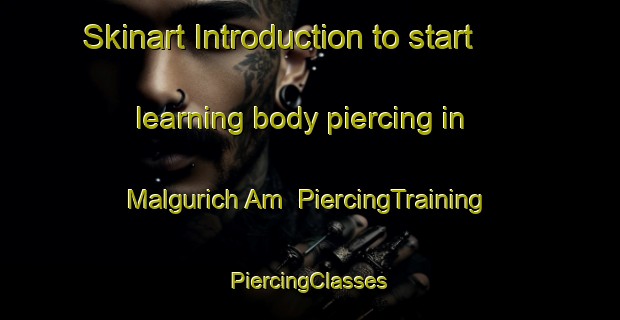 Skinart Introduction to start learning body piercing in Malgurich Am | #PiercingTraining #PiercingClasses #SkinartTraining-Korea