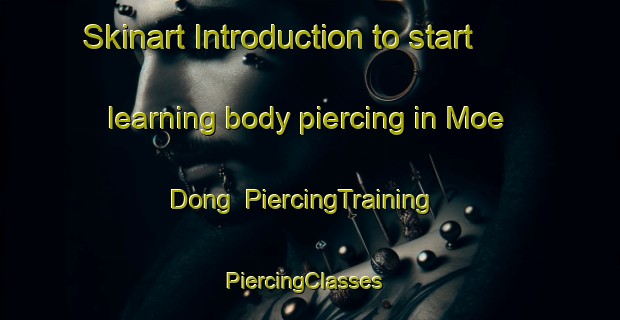 Skinart Introduction to start learning body piercing in Moe Dong | PiercingTraining | PiercingClasses | SkinartTraining-Korea