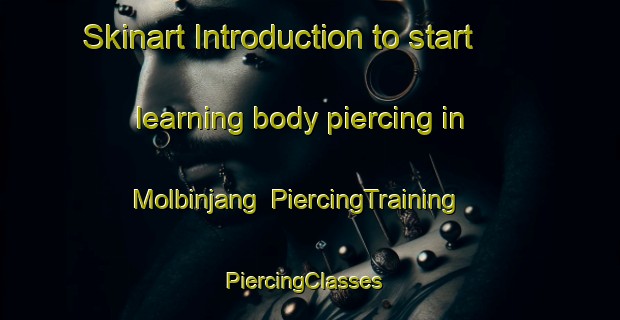 Skinart Introduction to start learning body piercing in Molbinjang | PiercingTraining | PiercingClasses | SkinartTraining-Korea